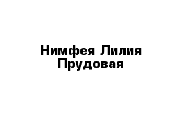 Нимфея Лилия Прудовая